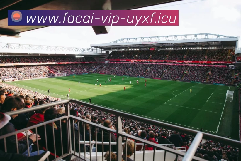 星空体育注册APP 封面图